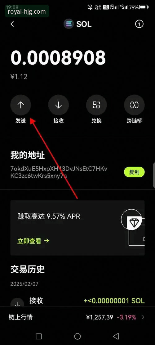 皇家国际怎么下载？官方APP获取途径与安装流程全面解析